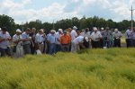 Field Day in Kursk Oblast